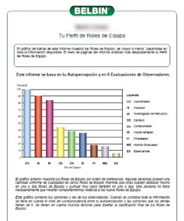 roles de belbin